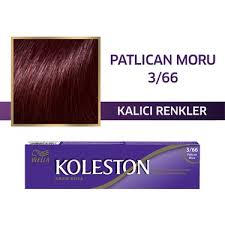 Koleston Single Tüp Boya 3/66 Patlıcan Moru