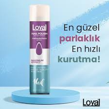 Loyal Oje Kurutucu Gazlı Sprey